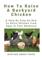 How To Raise A Backyard Chicken: A Step By Step Guide On How To Raise Chicken From Eggs In Your Backyard