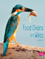 Food Chains and Webs