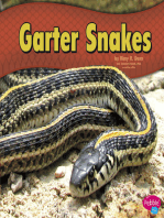 Garter Snakes