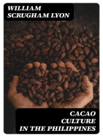 Cacao Culture in the Philippines