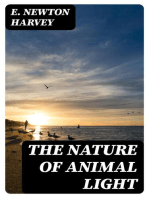 The Nature of Animal Light