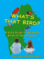 What's That Bird? - A Kid's Guide to Backyard Birds of New England