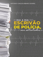 O Dia A Dia Do Escrivão De Polícia, Nas Entrelinhas