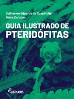 Guia ilustrado de pteridófitas