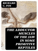 The Adductor Muscles of the Jaw In Some Primitive Reptiles