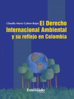 Derecho Internacional Ambiental y su Reflejo en Colombia