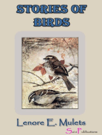 Stories of Birds