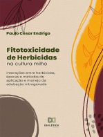 Fitotoxicidade de Herbicidas na cultura milho: interações entre herbicidas, épocas e métodos de aplicação e manejo da adubação nitrogenada