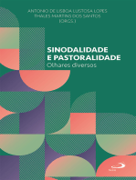 Sinodalidade e Pastoralidade: Olhares diversos