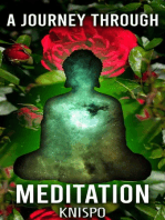 A Journey Through Meditation