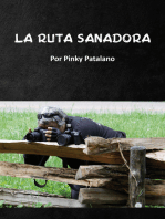 La ruta sanadora