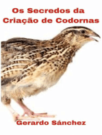 Os segredos da criação de codornas