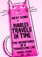 Bubbles Travels In Time