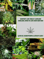 Identify and Treat Cannabis Diseases, Insects, and Deficiencies