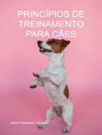 Princípios De Treinamento Para Cães