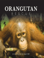 Orangutan Rescue: Saving Borneo's Orangutans