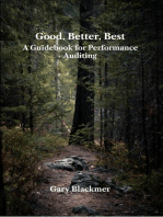 Good, Better, Best: A Guidebook for Performance Auditing