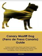 Canary Mastiff Dog (Perro de Presa Canario) Guide Canary Mastiff Dog Guide Includes: Canary Mastiff Dog Training, Diet, Socializing, Care, Grooming, and More