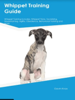 Whippet Training Guide Whippet Training Includes: Whippet Tricks, Socializing, Housetraining, Agility, Obedience, Behavioral Training, and  More