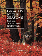 Graced by the Seasons: Fall and Winter in the Northwoods