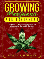 Growing Marijuana for Beginners: The Expert Tips and Techniques for  a Successful Cannabis Garden