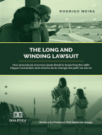 The long and winding lawsuit: how procedural slowness leads Brazil to breaching the 1980 Hague Convention and what to do to change the path we are on