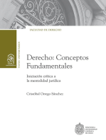 Derecho: Conceptos Fundamentales: Iniciación crítica a la mentalidad jurídica