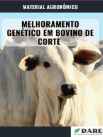 Melhoramento Genético Em Bovinos De Corte