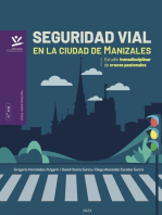 Seguridad vial en la ciudad de Manizales: Estudio transdisciplinar de cruces peatonales