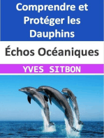 Échos Océaniques : Comprendre et Protéger les Dauphins