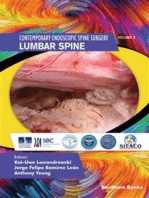 Lumbar Spine