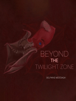 Beyond the Twilightzone