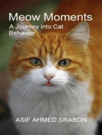 Meow Moments: A Journey into Cat Behavior