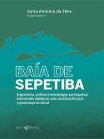 BAÍA DE SEPETIBA - Diagnósticos, análises e metodologias participativas. Intervenções dialógicas como contribuições para a governança territorial.: Diagnósticos, análises e metodologias participativas. Intervenções dialógicas como contribuições para a governança territorial.