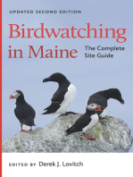 Birdwatching in Maine: The Complete Site Guide