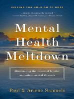 Mental Health Meltdown: Illuminating the Voices of Bipolar and Other Mental IIlnesses