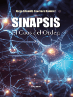 Sinapsis: El Caos del Orden