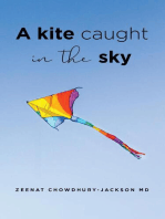 A Kite Caught in the Sky