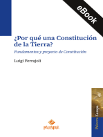 ¿Por qué una Constitución de la Tierra?: Fundamentos y proyecto de Constitución