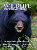 The Wildlife Rehabilitation Bible: A Comprehensive Handbook On How To Care For Creatures In The Wild