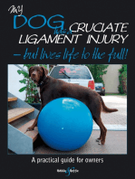 My dog has cruciate ligament injury – but lives life to the full!: A practical guide for owners