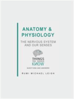 Anatomy and Physiology: The Nervous System and our Senses: Things You Should Know (Questions and Answers)