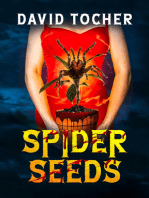 Spider Seeds