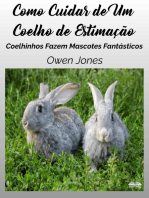 Como Cuidar De Um Coelho De Estimação: Coelhinhos Fazem Mascotes Fantásticos