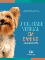 Urolitíase Vesical em Canino: relato de caso