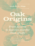 Oak Origins: From Acorns to Species and the Tree of Life