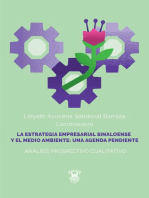 La estrategia empresarial sinaloense y el medio ambiente: una agenda pendiente: Análisis prospectivo cualitativo