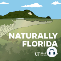 Pentastomes in Paradise: Invasive Parasite Plaguing Florida’s Snakes