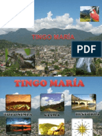 Tingo Maria