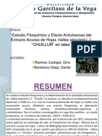 Estudio Fitoquimico y Efecto Antiulceroso Del Extracto Acuoso de Hojas Vallea Stipularis L.F. "CHUILLUR" en Ratas